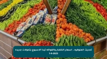 تحديث المنوفية.. أسعار الخضار والفواكه تبدأ الأسبوع بتحولات جديدة 1-9-2025